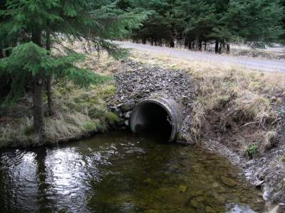 Culvert Bridge at Glentress Forest