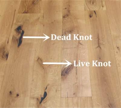 Image of Dead knot and Live Knot